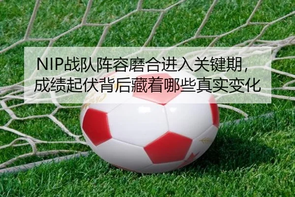 NIP战队阵容磨合进入关键期，成绩起伏背后藏着哪些真实变化